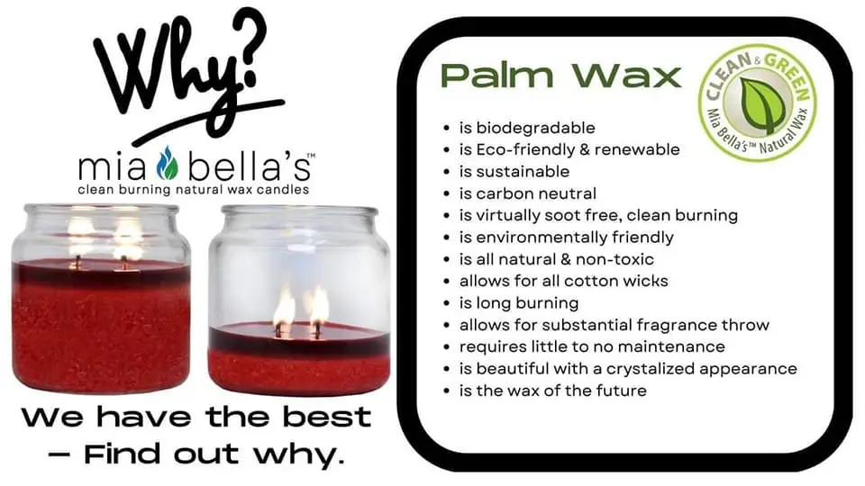 Why Palm Wax